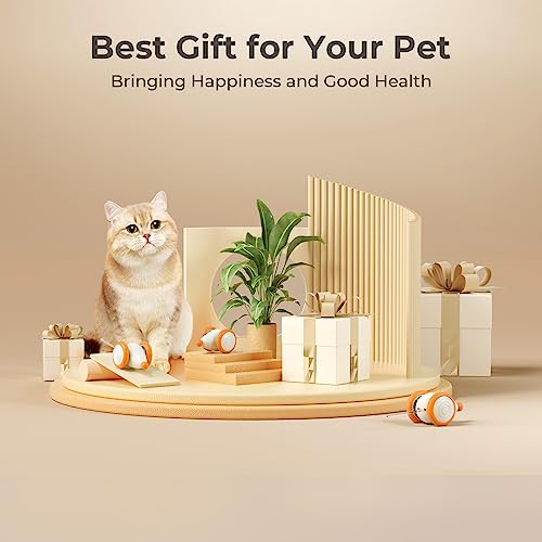 Interactive Cat Toys for Indoor Cats (Yellow)