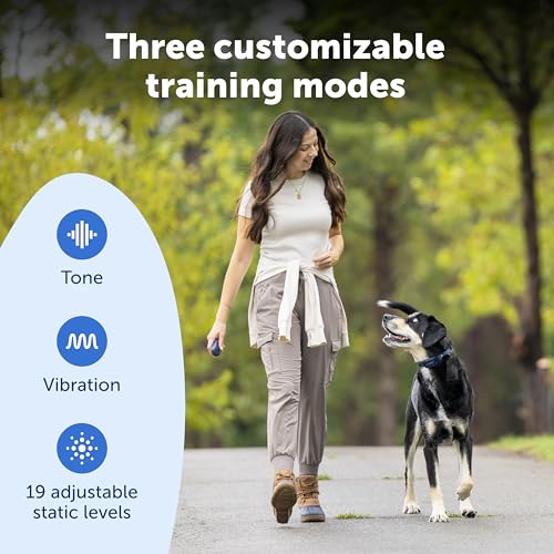Pro Trainer Add (Extra Collar Only)
