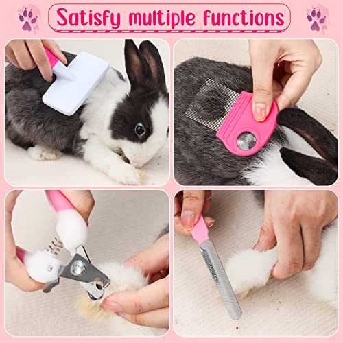 Pink Small Animal Grooming Kit with Nail Clipper (Pink)
