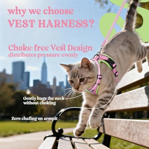 Cat Harness and Leash Set (S / Pink & Light Green)