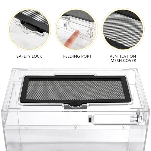 Reptile PC Terrarium Amphibian Tank Spider Enclosure Snake Cage 7x11.8x5.9inch Suitable for breeding Leopard Gecko (Transparent / XLarge)