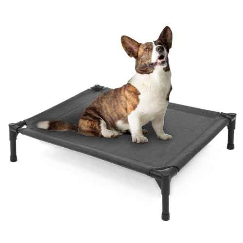 Elevated Dog Bed (Dark Grey / Small)