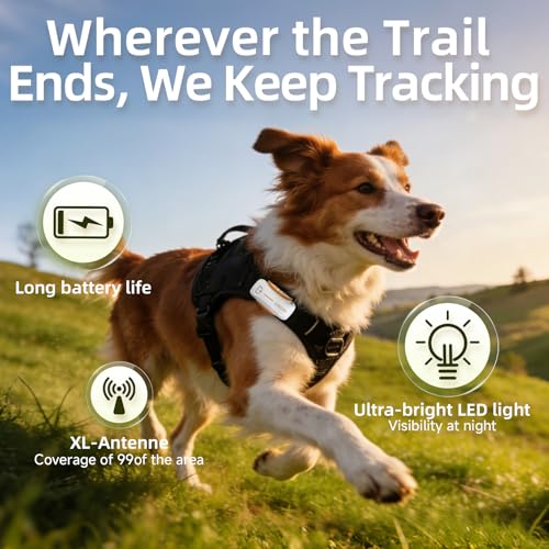 Next Gen GPS Dog Tracker + 36 (D5-White 36M Plan)