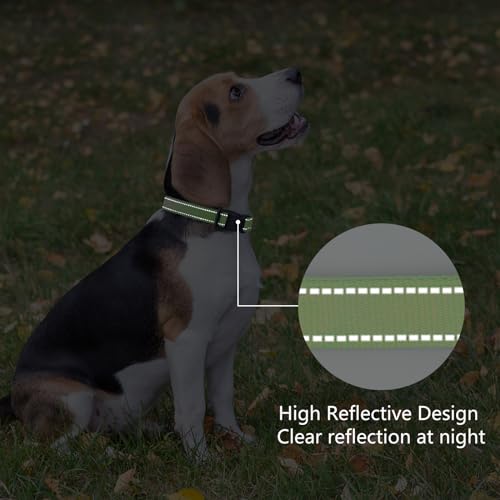 Reflective Dog Collar (Green / L:width 1"neck 17.5-27")