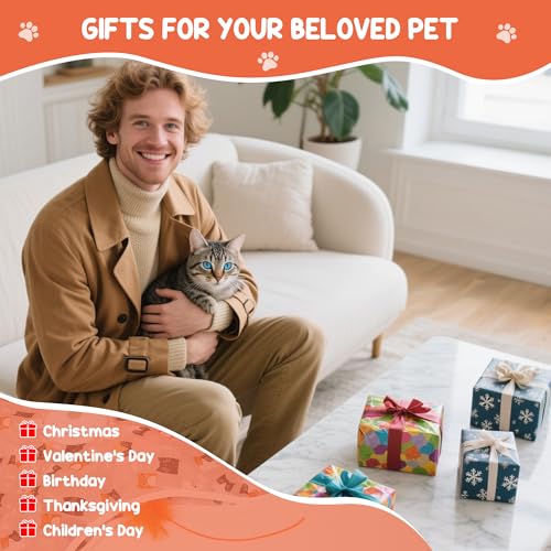 Interactive Cat Toys for Indoor Cats‌ Adult‌ with Feather Tail Switchable Mouse Sounds (PINK)
