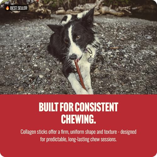 Bully Coated Gourmet Collagen Sticks (4" Gourmet - 25 Count)