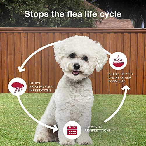 II Flea & Tick Topical for Small Dogs 4 (6 Pack)