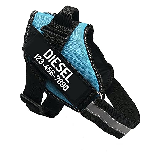Custom No Pull Dog Harness with Name and Phone Number (XS (5-9LBS) / SkyBlue)