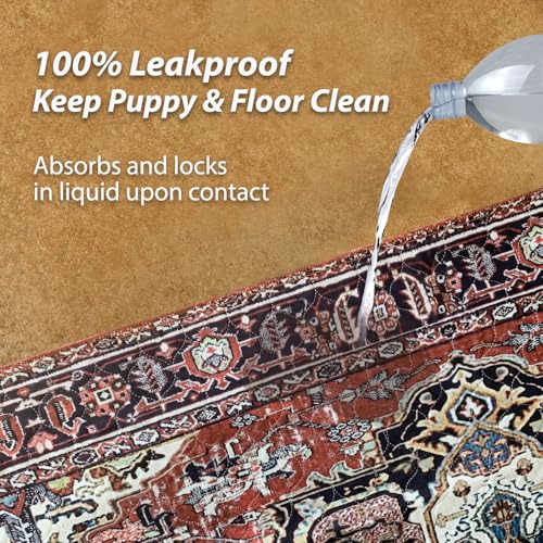 Washable Pee Pads for Dogs (54x54 Inch (Pack of 2) / Red/Rect)