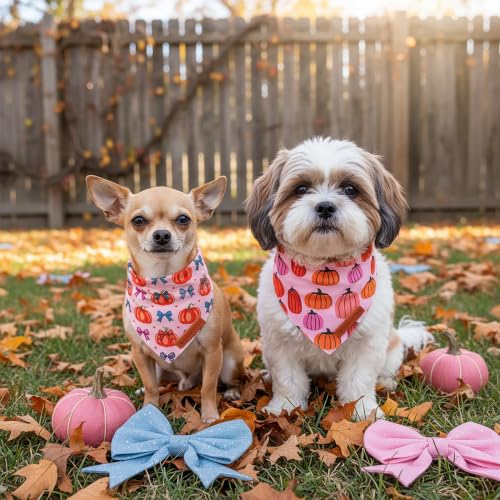 Fall Dog Bandanas Girl (Small / Pink Pumpkin)