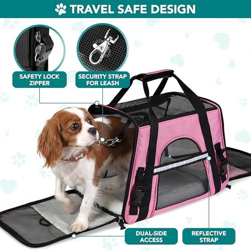 Airline Approved Pet Carrier for Cats & Small Dogs (Pink / 19.5"L x 10.2"W x 12.0"H)