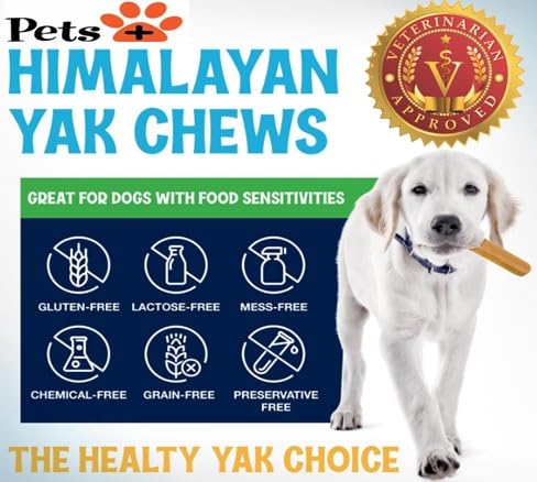 Pets Plus Himalayan Yak Chews for Dogs (1 Ounce (Pack of 1))