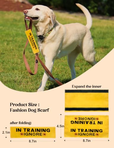 in Training Dog Leash Sleeve (Training Ignore)