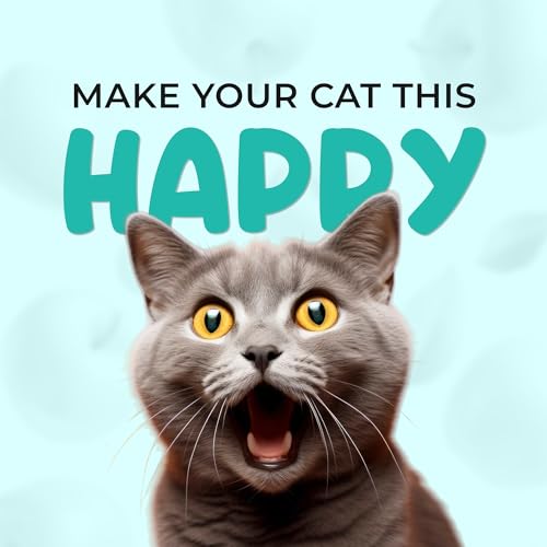 Cat Deodorant Beads (16 Ounce (Pack of 1))