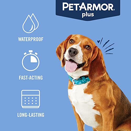 Plus Flea & Tick Topical Dogs 23 (23-44 lbs / 6 Count (Pack of 1))