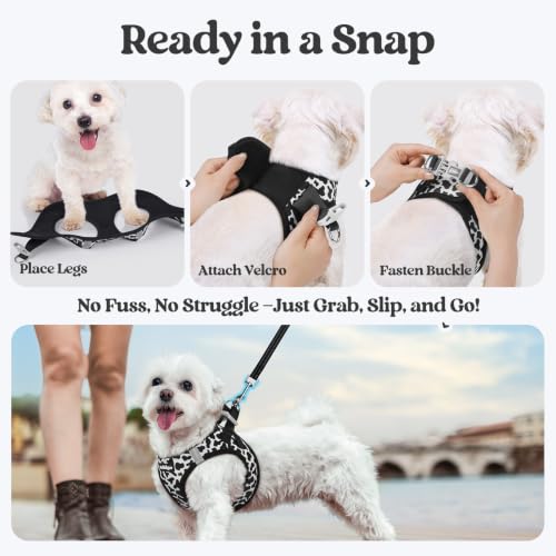 Dog Harness Small Sized and Leash Set (Black White Cow / S (chest: 15.1 - 16.5"))