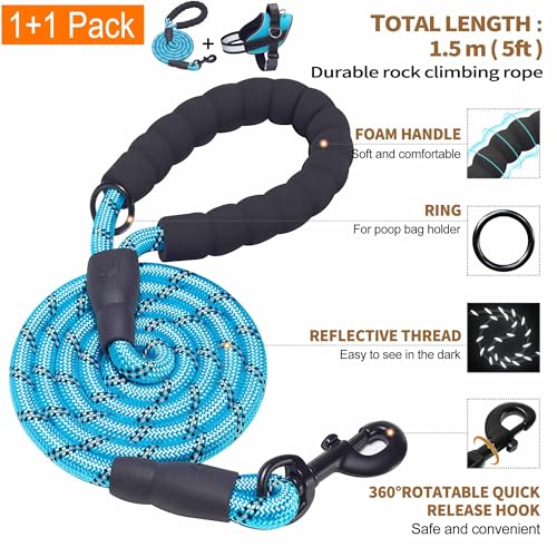 Essential Dog Harness (L / Blue)