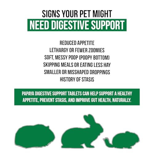 Digestive Support