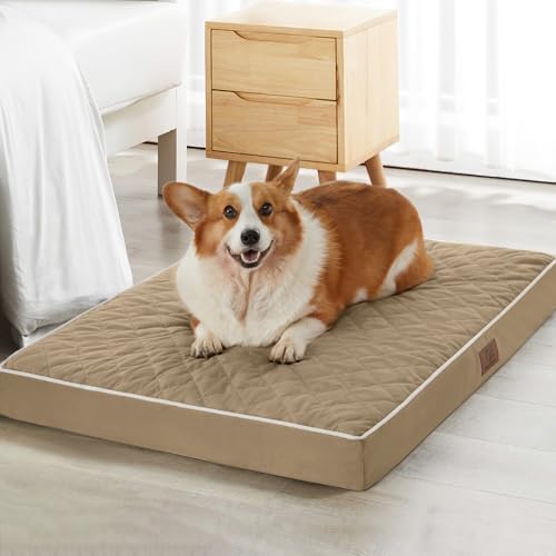 Orthopedic Waterproof Large Sized Senior Dogs Bed for Comfy Sleep (brown / 36"L x 27"W x 3"Th)