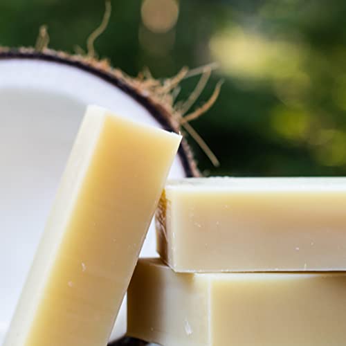 Certified Organic Dog Shampoo and Conditioner