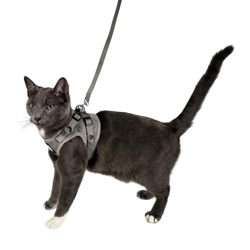 Travel Cat Harness and Leash Set (X-Small / Grey)