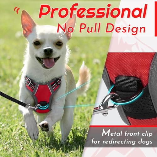 Dog Harness for Small Dogs (X-Small / Red)