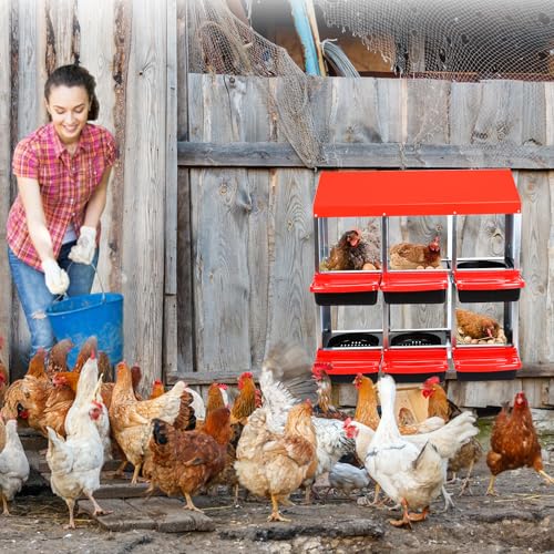 Chicken Nesting Box (Red- 6 compartment)