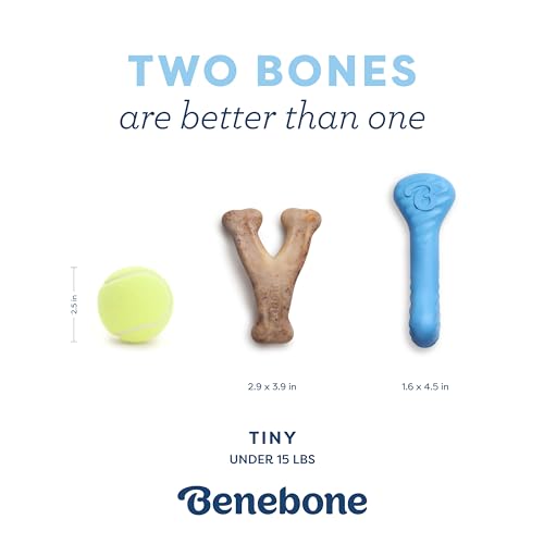 Puppy 2 Pack Rubber Bone (2 Pack)