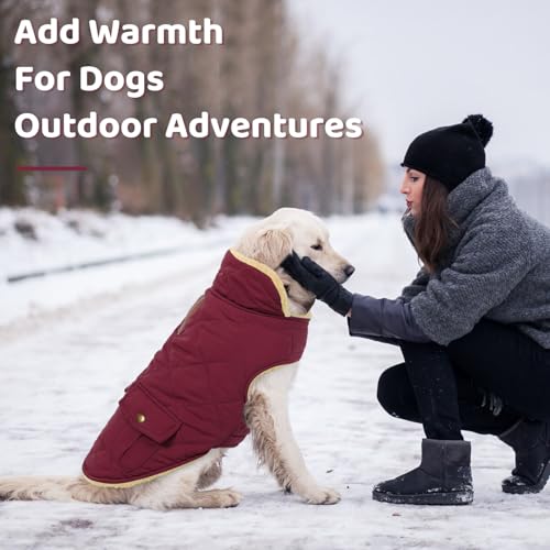 Waterproof Large Dog Winter Coat Plush Lining Warm Puffer Jacket (Large / Burgundy)