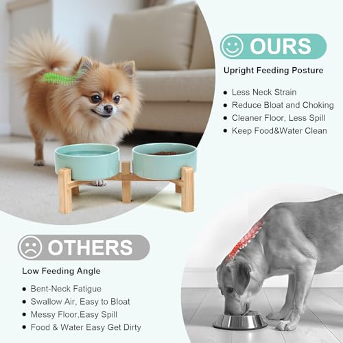 Elevated Dog Bowls Ceramic (5.1 in - 1.7 cups / Light Green)