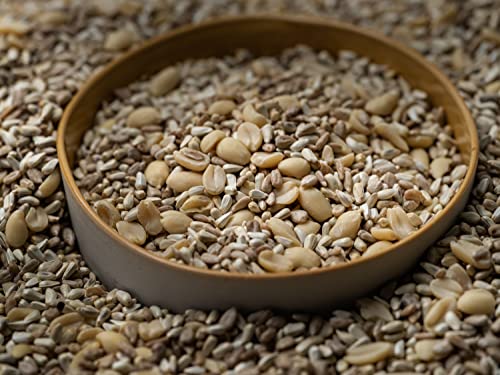 Premium Organic Wild Bird Seed