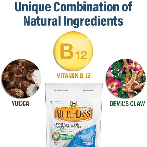 Bute Less Comfort & Recovery Supplement Pellets (32 oz)