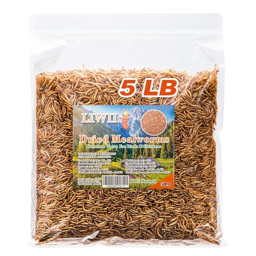 5LB Dried Mealworms for Chickens
