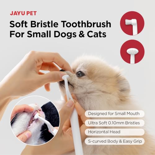 Dental Care Brush with Soft Bristles 1ea (Soft Bristles / 1 Count (Pack of 1))