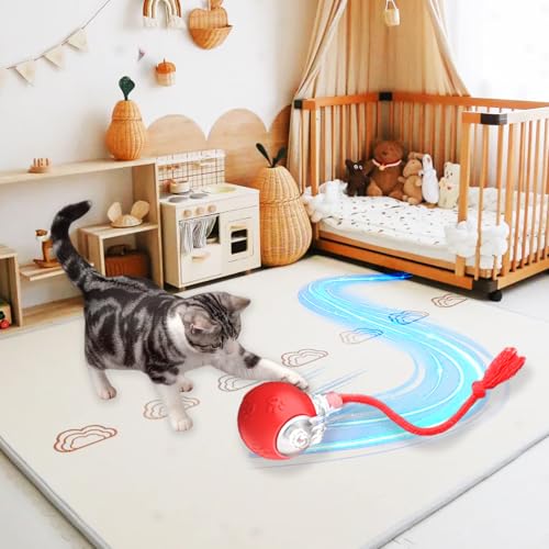 Moving Pet Ball (B -Red)
