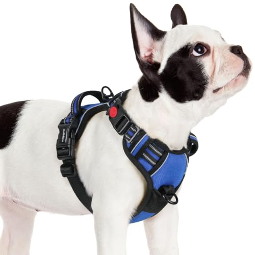 Dog Harness Small Sized (Small / Blue)