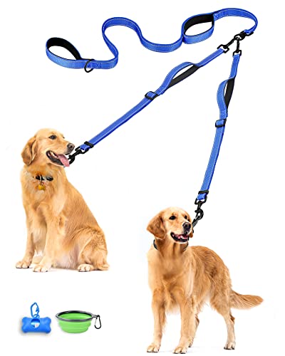 Double Dog Leash (Blue)