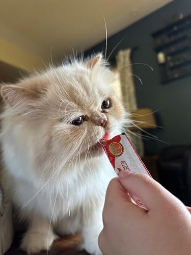 Kitty Licks Chicken Barrel