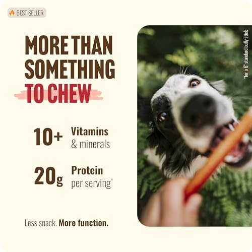 Odor Free Thin Bully Sticks (12" Thin - 25 Count)