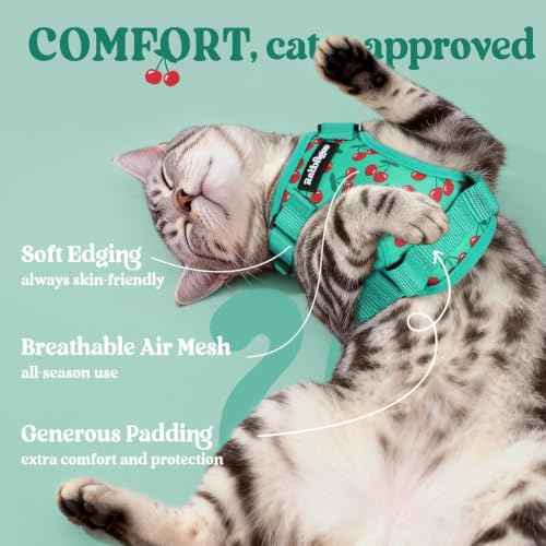 Cat Harness and Leash Set (Xs / Cherry Grove)