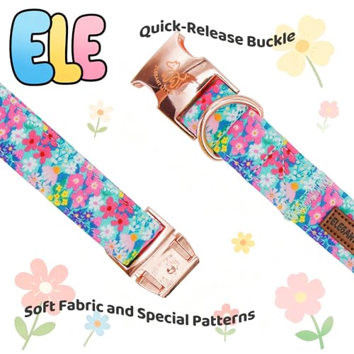 Spring Floral Dog Collar (Flower&Wild Berries / X-Small (Pack of 1))