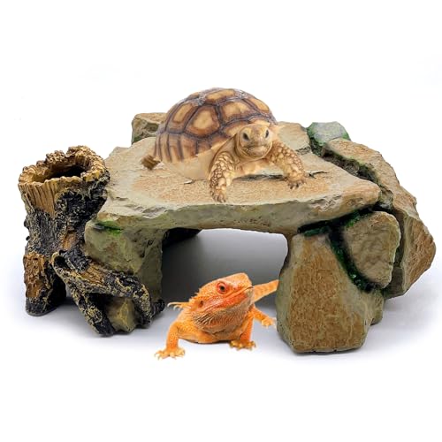 Reptile Hide Cave