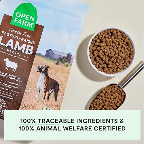 Grain Free Dry Dog Food (22 Pound (Pack of 1))