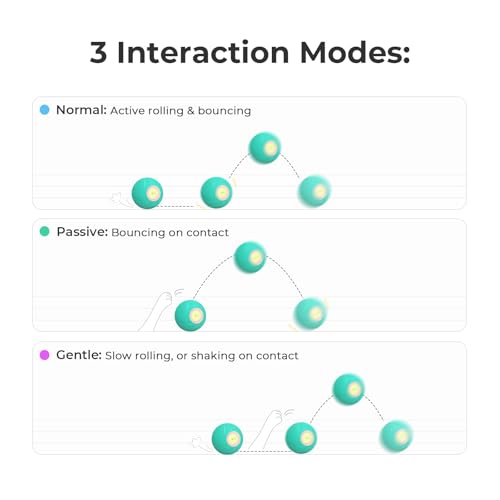 Interactive Dog Toys (Medium)