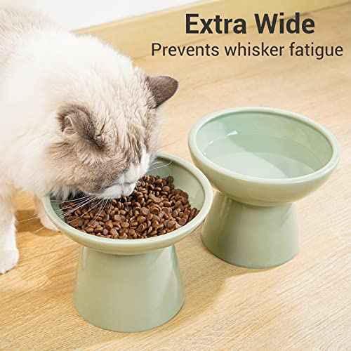Extra Wide Elevated Ceramic 6.2" Deeper Cat Water Bowl (Sage Green-Deeper)