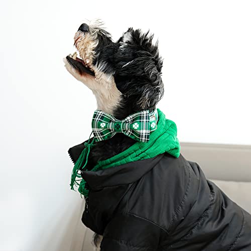 St Patricks Day Dog Collar with Bowtie (St.Patrick's Day / XX-Small (Pack of 1))