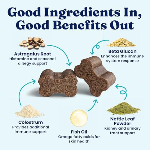 Dog Allergy Chews for Itchy Skin & Immune Support (60 Count)