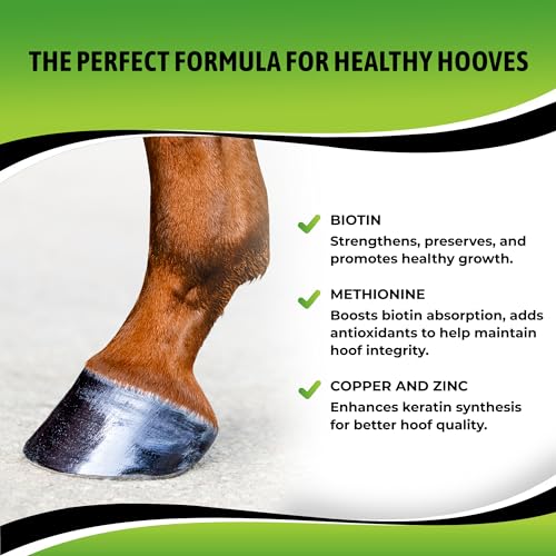 SynoStride Joint & Hoof Supplement for Horses (30 Doses)