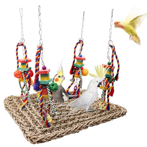 Large Bird Swing Toys