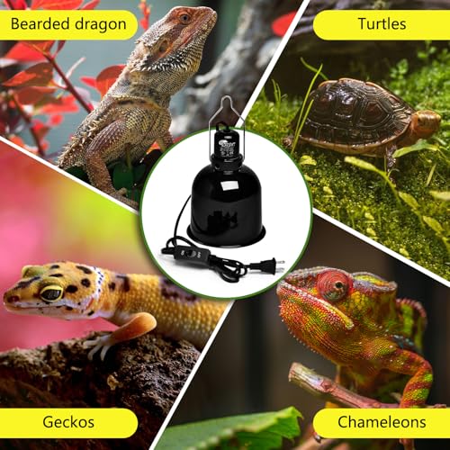 Reptile Light Fixture 5.5 inch Deep Dome with Switch (Deep Dome W/ Switch / 1pcs*Dome-5.5" (Max 150W))